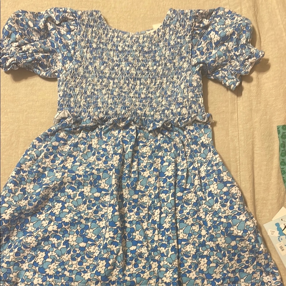 Crewcuts Blue and White Smocked Sundress with Puff Sleeves
